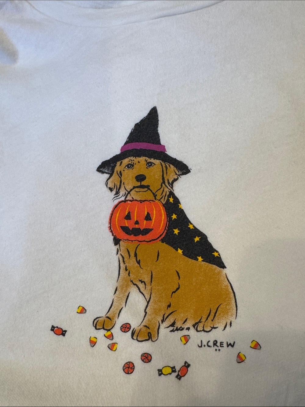 J. Crew White Collectors Edition Halloween Dog Tee with Pumpkin Graphic - Picture 3 of 4